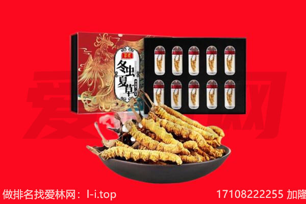 和田县回收虫草.jpg